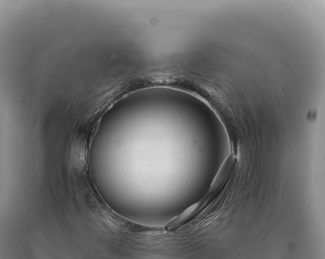 X0000090761444200707271456