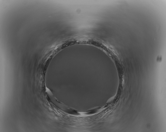 X0000090761445200707271456