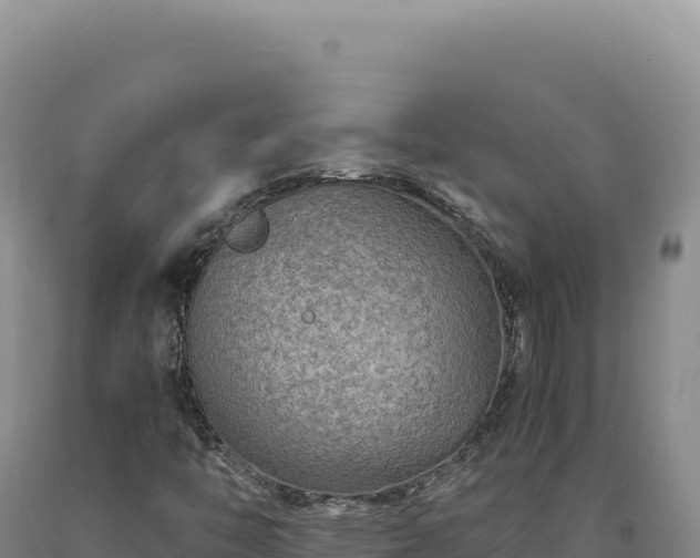 X0000090761446200707271456