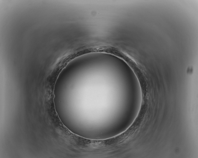 X0000090761447200707271456