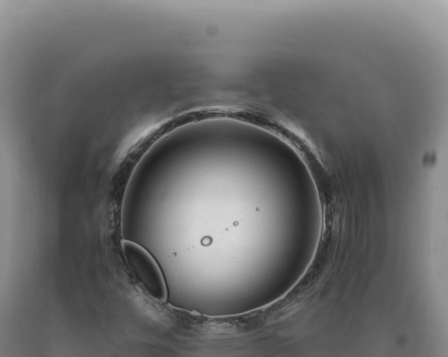 X0000090761448200707271456