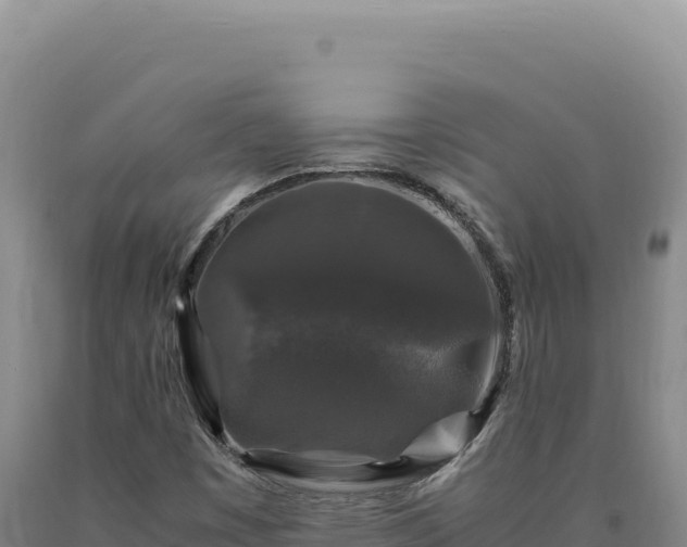 X0000090761449200707271456