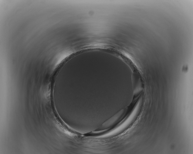 X0000090761450200707271456