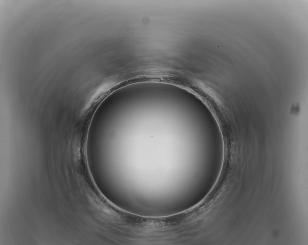 X0000090761451200707271456