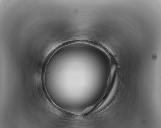 X0000090761452200707271456