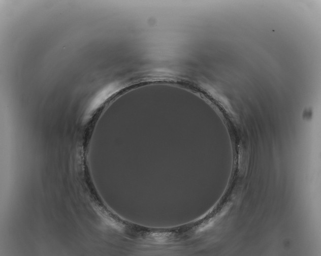 X0000090761453200707271456