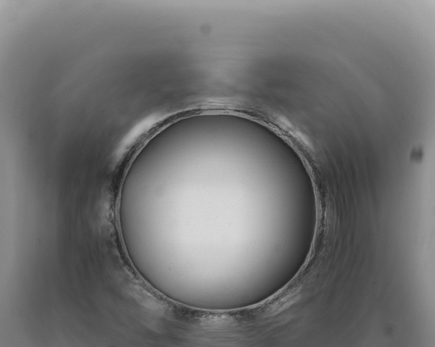 X0000090761454200707271456