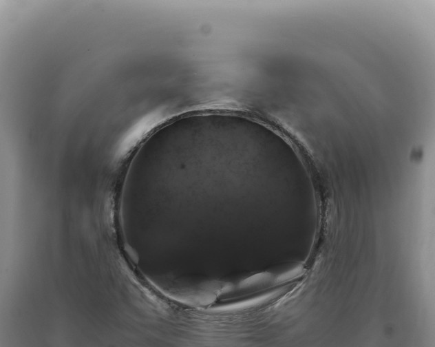 X0000090761455200707271456