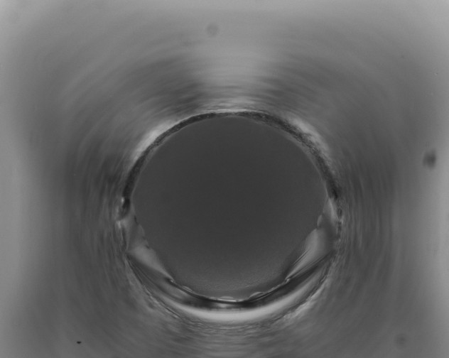 X0000090761457200707271456