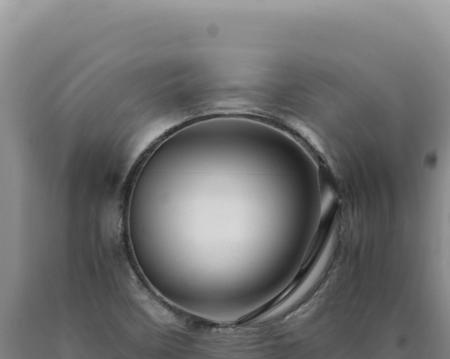 X0000090761458200707271456