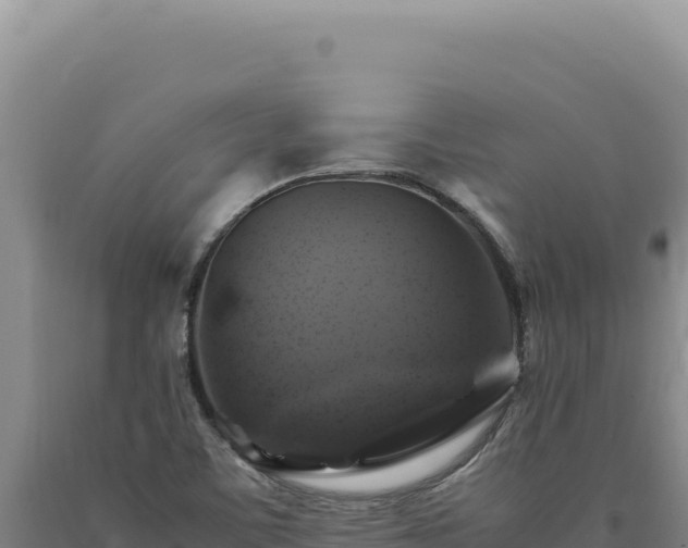 X0000090761459200707271456