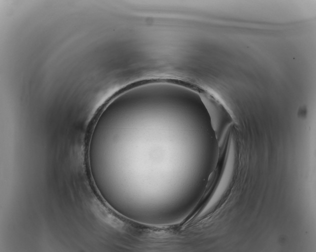 X0000090761460200707271456