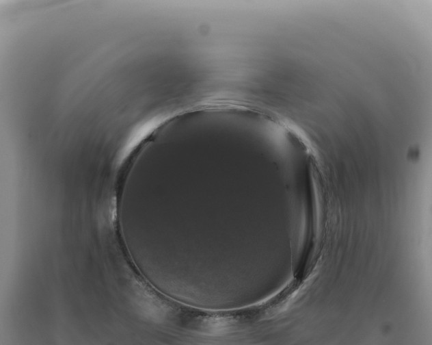 X0000090761461200707271456