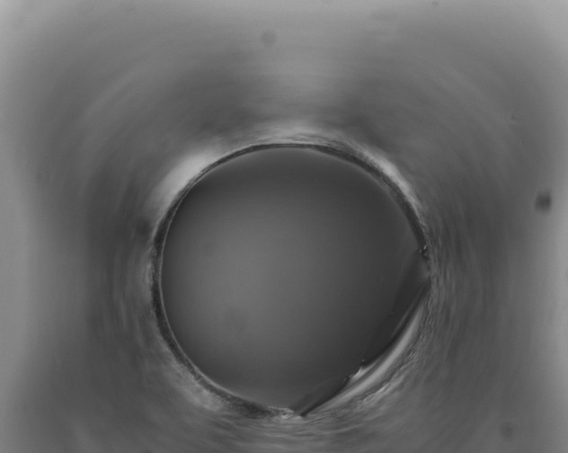 X0000090761463200707271456