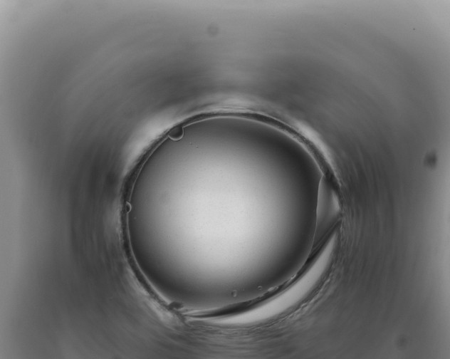 X0000090761464200707271456