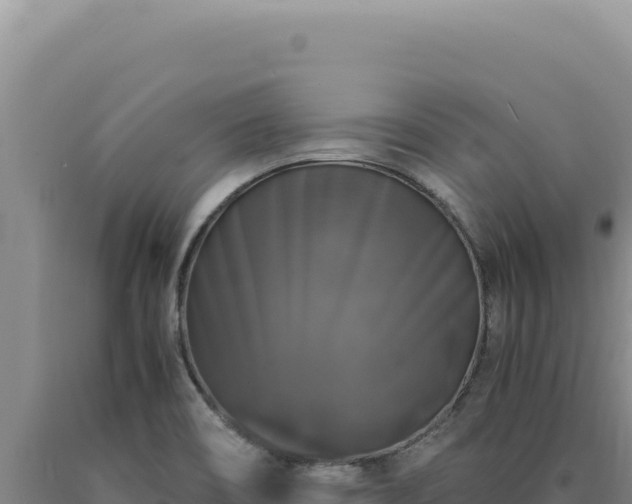 X0000090761466200707271456