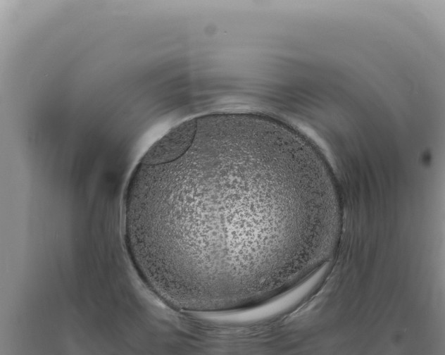 X0000090761467200707271456