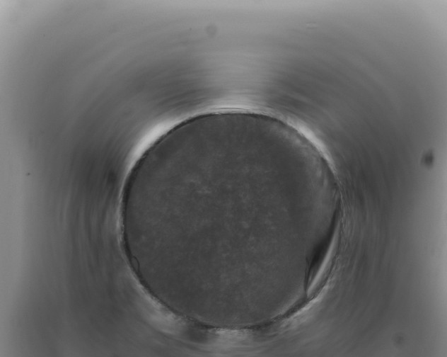 X0000090761469200707271456