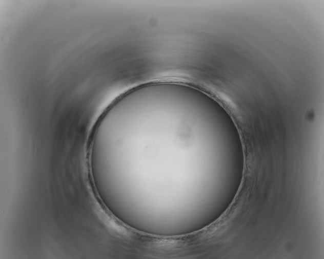 X0000090761470200707271456