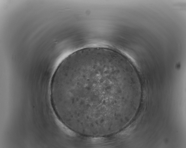 X0000090761471200707271456