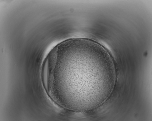 X0000090761472200707271456