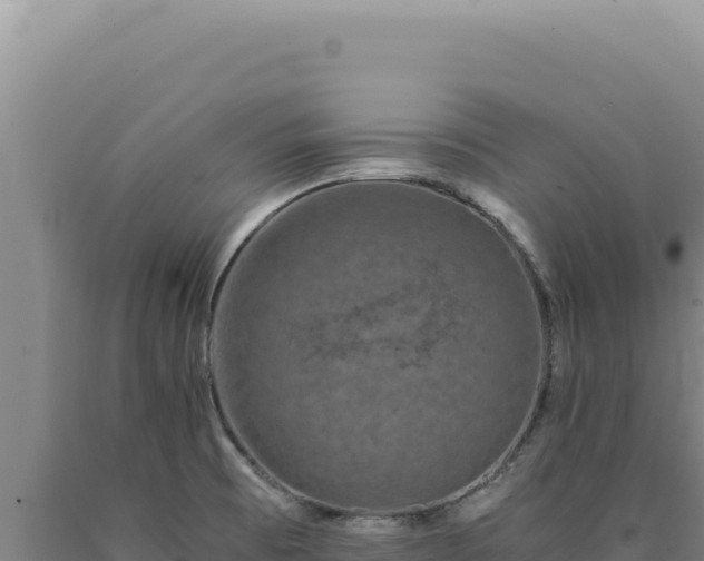 X0000090761473200707271456