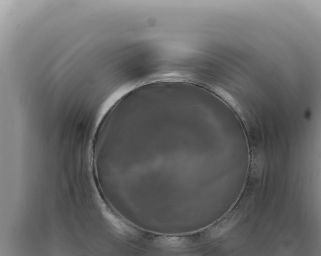 X0000090761474200707271456