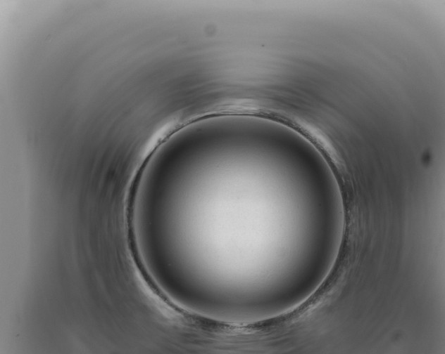 X0000090761475200707271456