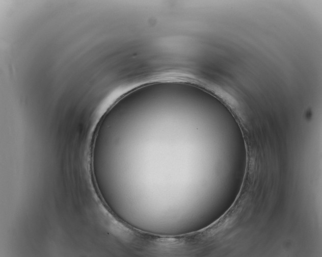 X0000090761478200707271456