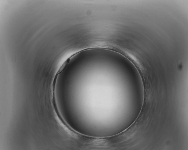 X0000090761479200707271456