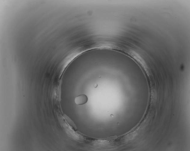 X0000090761481200707271456