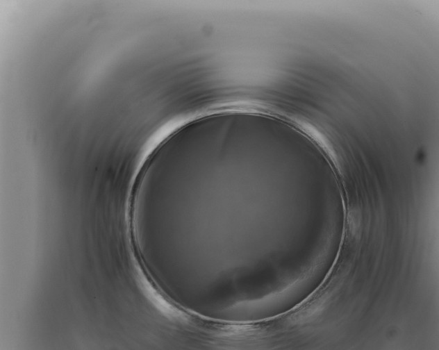 X0000090761482200707271456