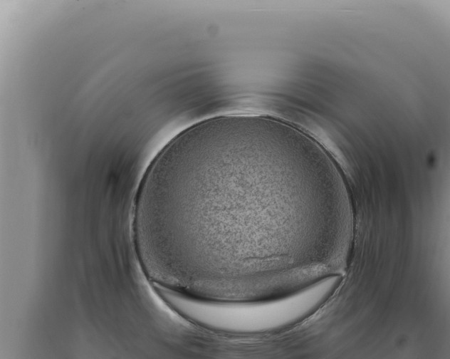 X0000090761484200707271456