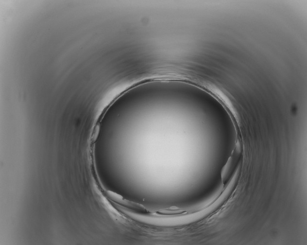 X0000090761485200707271456