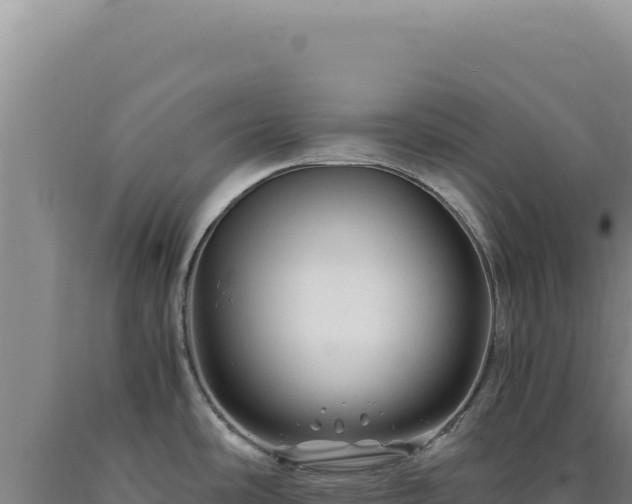 X0000090761486200707271456