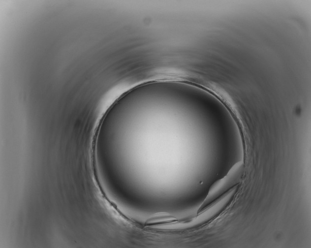 X0000090761488200707271456