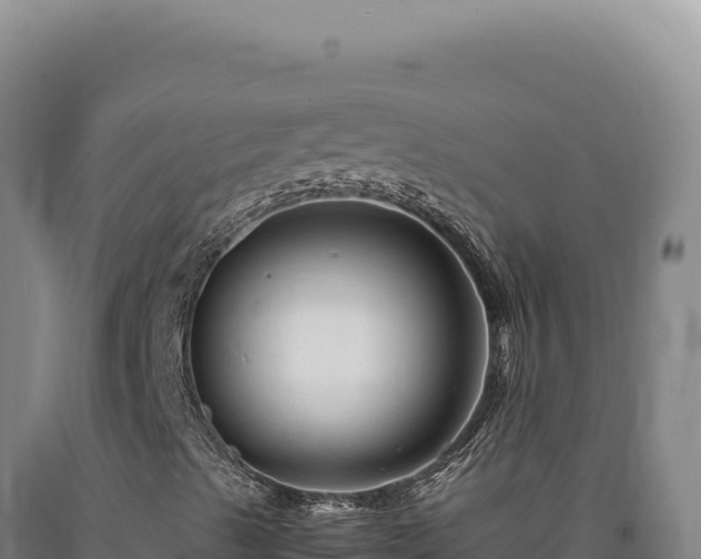 X0000090761489200707271455