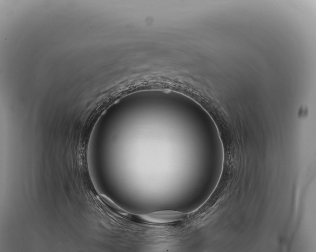 X0000090761490200707271455