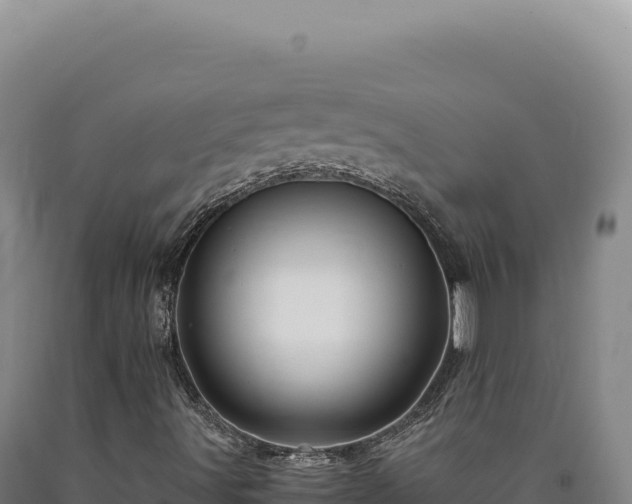 X0000090761491200707271455