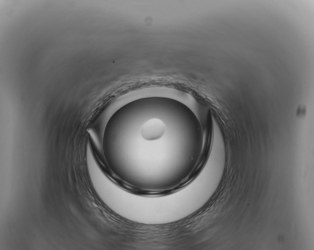 X0000090761492200707271455