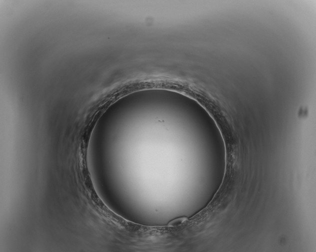 X0000090761493200707271455