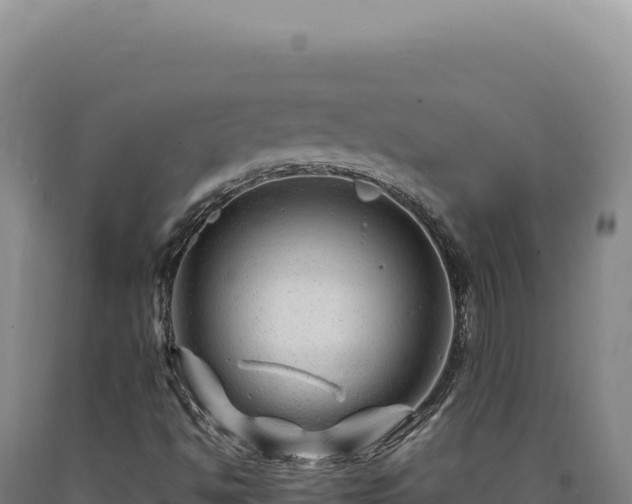 X0000090761494200707271455