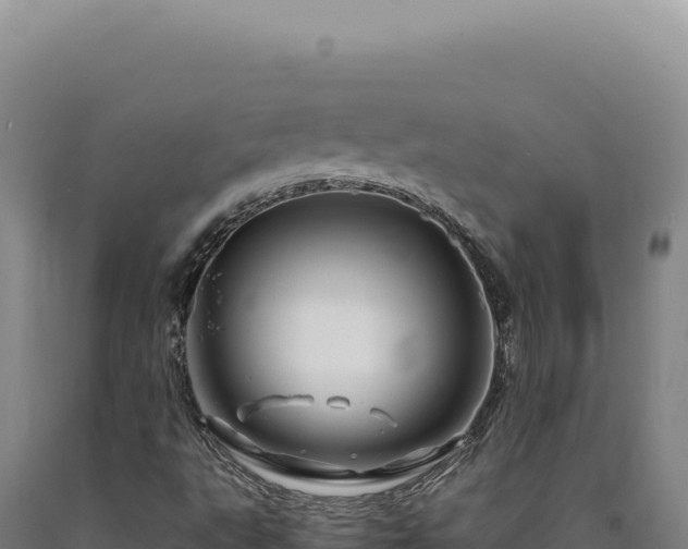 X0000090761495200707271455