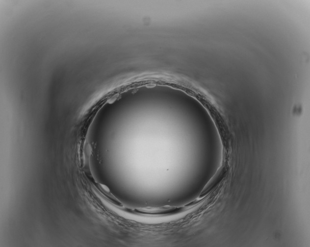 X0000090761496200707271455