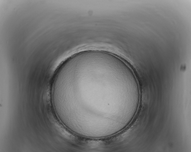 X0000090761498200707271455