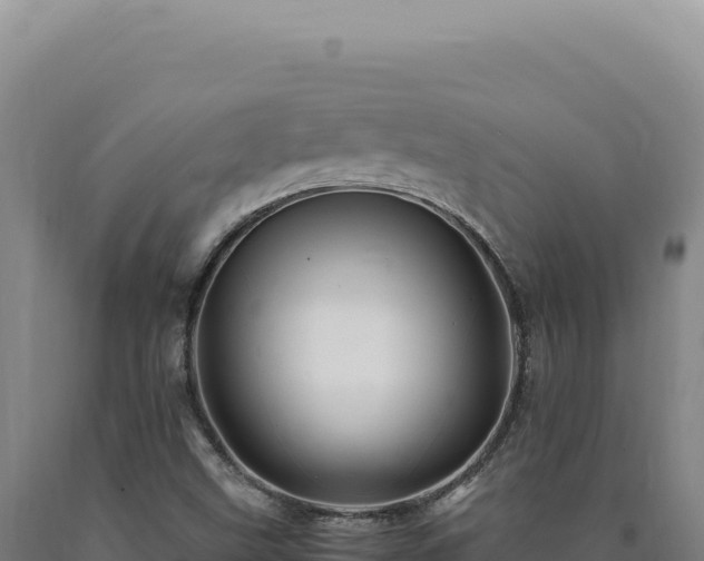 X0000090761499200707271455