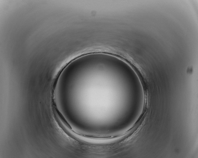 X0000090761500200707271455