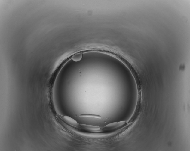 X0000090761501200707271455