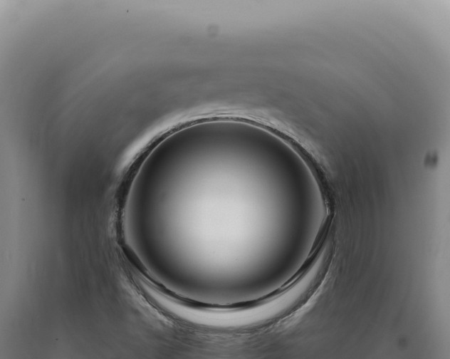 X0000090761502200707271455