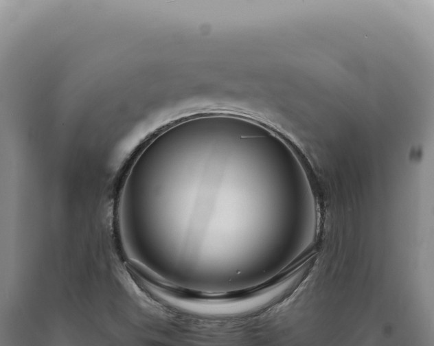 X0000090761503200707271455